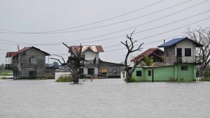 UNEP’s 2025 Adaptation Gap Report flags $365bn annual needs as finance shrink