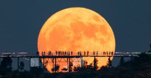 Beaver Supermoon 2025: When and Where to Watch in India