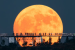 Beaver Supermoon 2025: When and Where to Watch in India