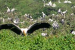 Vedanthangal Bird Sanctuary Hosts Rich Diversity of Migratory Species