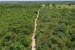 Google Funds Amazon Rainforest Restoration