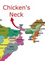 Understanding the ‘Chicken’s Neck’