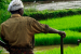 Defend Farmers’ Rights, Protect Genetic Resources, Scientists Tell Government Ahead of Lima Meet