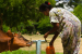 Sri Lanka’s One Health Drive Against Antimicrobial Resistance