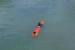 DRDO Unveils New Man-Portable Underwater Vehicles