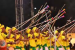 12th Samvad Conclave Opens in Jamshedpur with Tribal Rituals