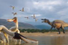 New Flying Reptile Species Found Inside Fossilised Dinosaur Vomit
