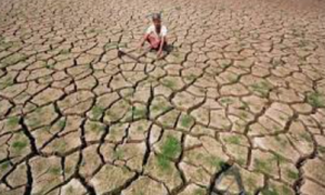 India Slips 13 Places In Global Climate Change Index