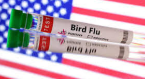 US Confirms First Human Infection With H5N5 Bird Flu