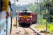 Southern Railway Introduces India’s First Coast-to-Coast Parcel Express