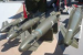 India-France Defence Deal to Produce HAMMER Smart Weapons in India