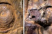 37,000-year-old Manipur bamboo sheds new light on Asia’s Ice Age climate.