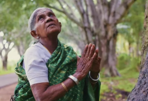 Remembering Saalumarada Thimmakka: the Mother of Karnataka’s Trees