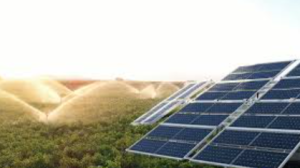 SoLAR Phase II: कृषि में सौर ऊर्जा से जलवायु-स्थायित्व की दिशा में नया कदम