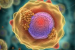 Scientists Find New Way To Rejuvenate Ageing Human Cells