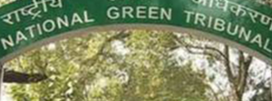 NGT Chennai Hosts Regional Conference on Environment 2025