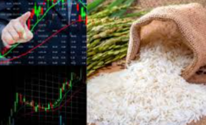 Trump’s Tariff Threat on Indian Rice Sparks Market Sell-Off
