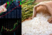 Trump’s Tariff Threat on Indian Rice Sparks Market Sell-Off