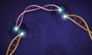 GlowCas9 Breakthrough Enables Real-Time Tracking Of Gene Editing