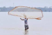 Lakshadweep Hosts First-Ever Investors’ Meet to Unlock Fisheries and Aquaculture Potential