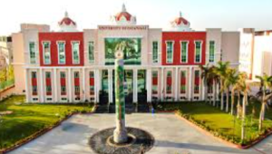 University of Patanjali Named First Yoga Ayurveda Cluster Centre