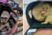 Global Crackdown Seizes 30,000 Animals in Wildlife Trade Bust