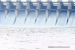 SJVN CMD Reviews Progress of Arun-3 Hydropower Project