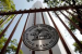 Why the RBI Is Being Urged to Rethink and Expand India’s Banking Data Architecture