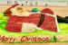 Sudarsan Pattnaik Sets World Record With Giant Santa Claus