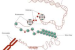 How Tiny Changes in DNA Packing Can Switch Genes On or Off