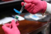 Measles Case Detected at Newark Airport Triggers Health Alert