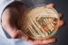 Deadly Drug-Resistant Fungus Candida Auris Spreads Across US
