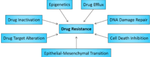 Scientists Turn Drug-Resistant Cancer Mutations into Treatment Target