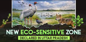 Parvati–Arga Bird Sanctuary Declared Eco-Sensitive Zone