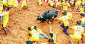 First Jallikattu Event of 2026 Approved in Tamil Nadu