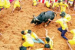 First Jallikattu Event of 2026 Approved in Tamil Nadu
