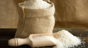 India’s Rice Export Boom vs a Drying Heartland: Why Punjab and Haryana’s Water Crisis Is Deepening