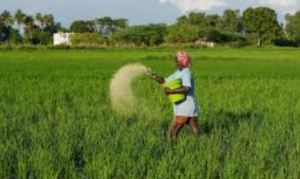 Centre Launches E-Bill Platform for Fertiliser Subsidy Processing