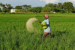 Centre Launches E-Bill Platform for Fertiliser Subsidy Processing