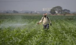 Climate-resilient agriculture: Why India’s farms must adapt faster to climate stress