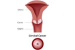 Cervical cancer: Why a largely preventable disease still kills a woman every two minutes