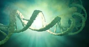 Abu Dhabi Administers UAE’s First Gene Therapy for Blood Disorders