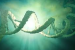 Abu Dhabi Administers UAE’s First Gene Therapy for Blood Disorders