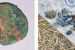 Rare Kushan Coins, Lapis Lazuli Unearthed at Taxila’s Bhir Mound