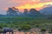 Why India Must Reimagine the Indian Forest Service for the 21st Century