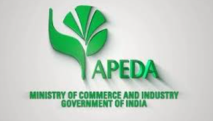 APEDA Launches BHARATI to Support Agri-Food Startups, Exports
