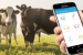 How Digital Tools Are Quietly Reshaping India’s Dairy Sector