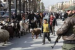 Syria Declares Ceasefire in Aleppo After Kurdish Clashes