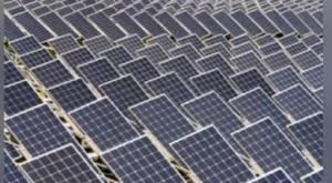 Odisha Clears ₹10,000 Crore Tata Power Solar Plant in Ganjam