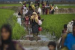 ICJ Hearings Begin in Rohingya Genocide Case Against Myanmar